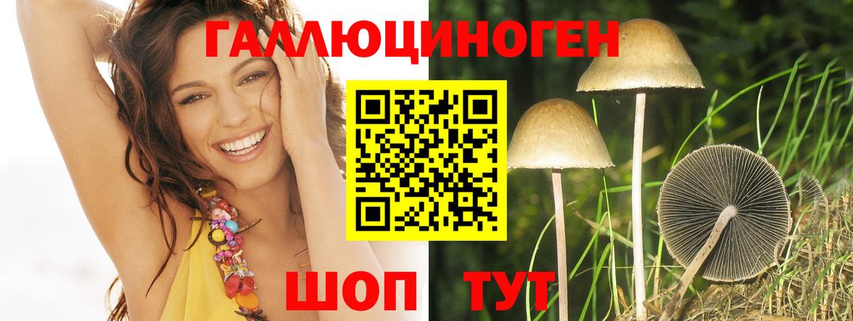 Псилоцибиновые грибы прущие грибы  Вход с VPN  где можно купить   Богородицк 